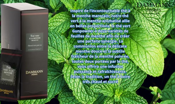 Thé DAMMAN Menthe