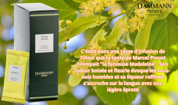 TISANE TILLEUL DAMMAN