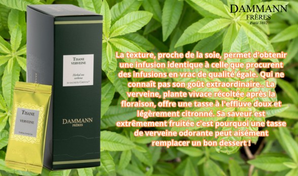 TISANE VERVEINE DAMMAN